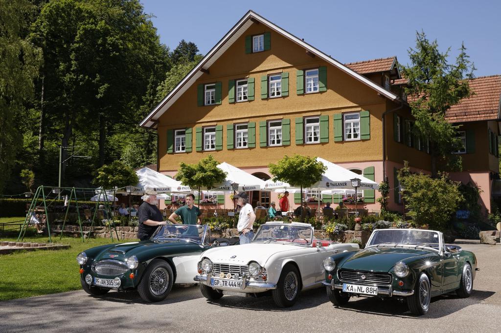 Hotel Zur Alten Muehle Нойенбюрг Экстерьер фото