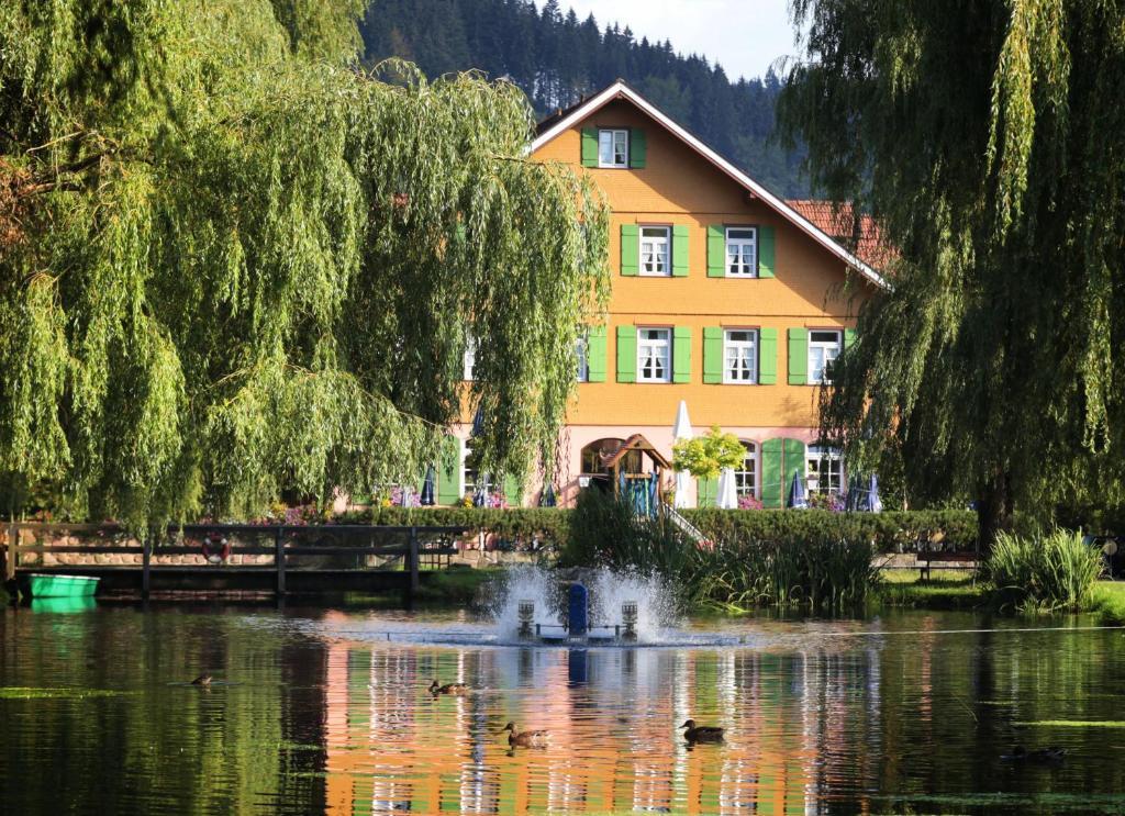 Hotel Zur Alten Muehle Нойенбюрг Экстерьер фото
