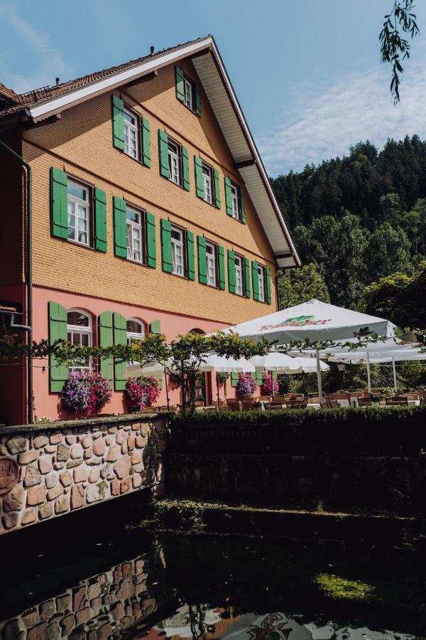 Hotel Zur Alten Muehle Нойенбюрг Экстерьер фото